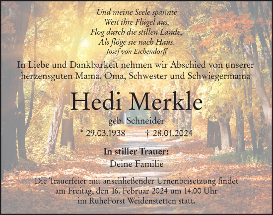 Traueranzeige von Hedi Merkle von SÜDWEST PRESSE Ausgabe Ulm/Neu-Ulm